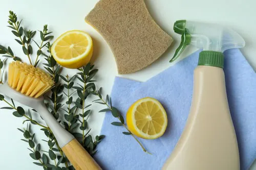 Insights from Oceans Blue Family Cleaning Services