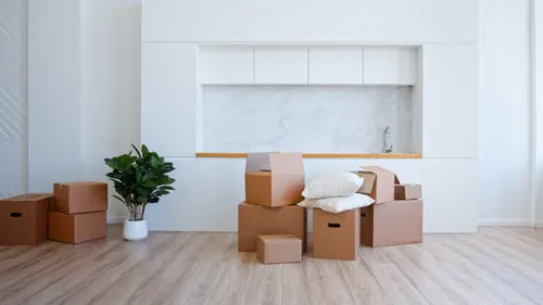 Move-In / Move-Out Cleaning